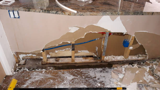 Best Carpet water damage restoration  in Shreve, OH
